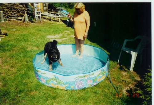 Zamba og Linda i bassin