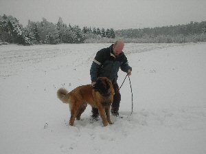 Zultan og Jan i sneen
